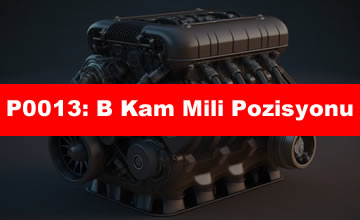 p0013
